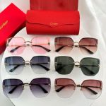 Cartier Eyeglasses / Dark glasses / Sunglasses